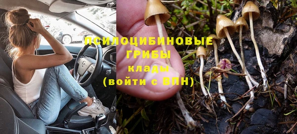 MDMA Premium VHQ Богородицк