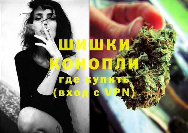 PSILOCYBIN Белокуриха