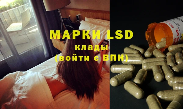 PSILOCYBIN Белокуриха