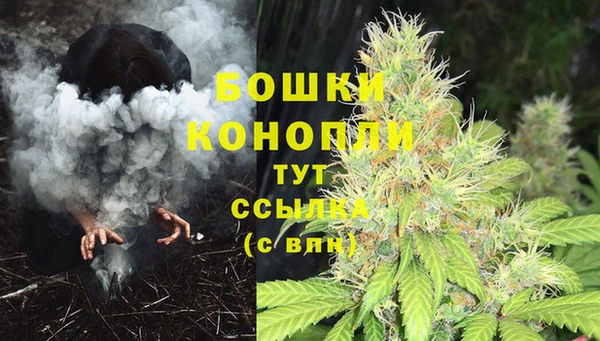 PSILOCYBIN Белокуриха
